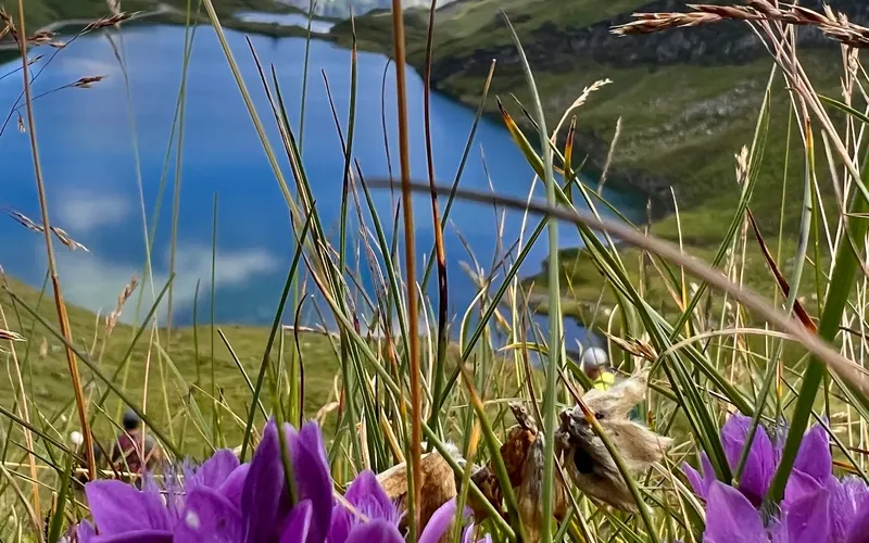 July in the Lauterbrunnen valley: peak summer