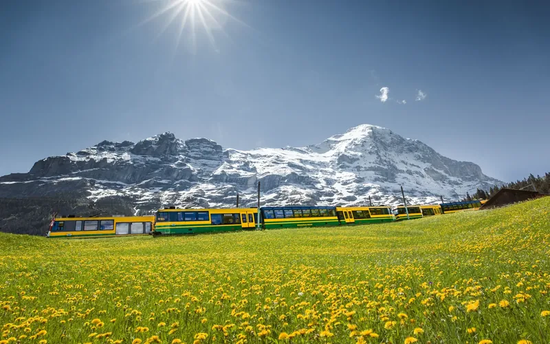 May in the Lauterbrunnen valley: valley awakening